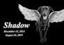 create a memorial pet portrait for engraving
