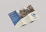 design your brochure and create realistic mockups