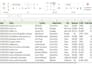 clean, organize and prepare your data in excel for analysis