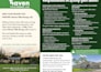 create expert print design that elevates your brand and message