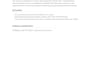 perform a dns and domain security assessment report