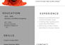 design a modern professional business card and certificate
