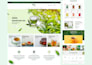 do stunning webflow website or redesign webflow website as webflow expert