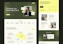 do stunning webflow website or redesign webflow website as webflow expert