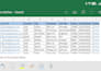 professional excel data entry, manual typing, and formatting