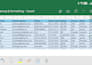 professional excel data entry, manual typing, and formatting