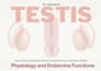 make teaching grade ppts