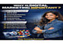be your ads expert  manager for shopify marketing
