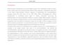 write professional human rights reports and policy analysis