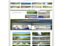 build a professional dynamic wordpress website