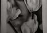 draw a hyper realistic and meaningful charcoal  portrait