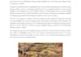 professionally format and edit microsoft word documents