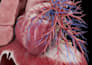 do 2d 3d medical surgery anatomy animation video and motion graphics