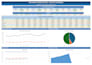 create a professional excel dashboard with kpis, charts and automated reports