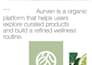 design luxury logo, brand kit, brand identity guidelines