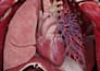 do 2d 3d medical surgery anatomy animation video and motion graphics