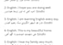 english and sindhi translation expert