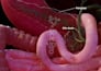 professional 3d medical animation 3d scientific visuals 3d  anatonmy animation