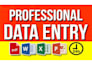 do data entry, logo design, PDF conversation