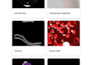 do 3d medical animation
