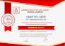 do ms word templates design, edit, format ms word document and letterhead