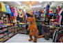 make custom mascot cosplay costume