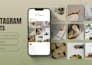 design premium social media posts for wellness brands