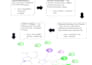 perform molecular docking and virtual screening