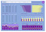 design excel dashboard and data reports