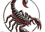 do embroidery digitizing for pets, hats, jackets in 24hrs