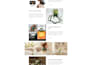 design a high converting shopify one product, niche dropshipping store