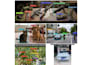 do computer vision, machine learning, deep learning projects