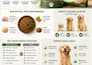 design amazon a plus content and amazon infographic images