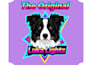 professionally vector trace, logo to vector ai,eps,svg