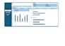 create a professional excel dashboard with charts and analysis