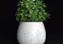 design a 3d printed vase for you