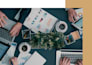 create a professional business plan, financial forecast,