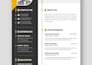 create professional cvs for aviation, airline, pilot, cabin crew,av application