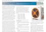 write professional speeches and public messaging