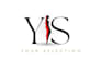 create a professional custom business logo design