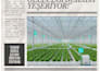 design a mood board