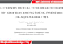 create professional powerpoint presentation and ppt slides