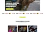 be shopify developer for theme customization, store design and shopify website