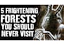 make horror documentary videos like true paranormal stories