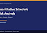 perform quantitative risk analysis for your projects