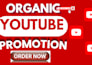 do complete youtube monetization shoutout to subscribers