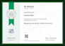 create interactive excel dashboard, sales dashboard, KPI dashboard