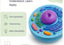 create professional educational pdfs and study guides
