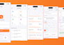 build a scalable flutter mobile app for android and IOS