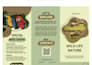 design flyers and brochures